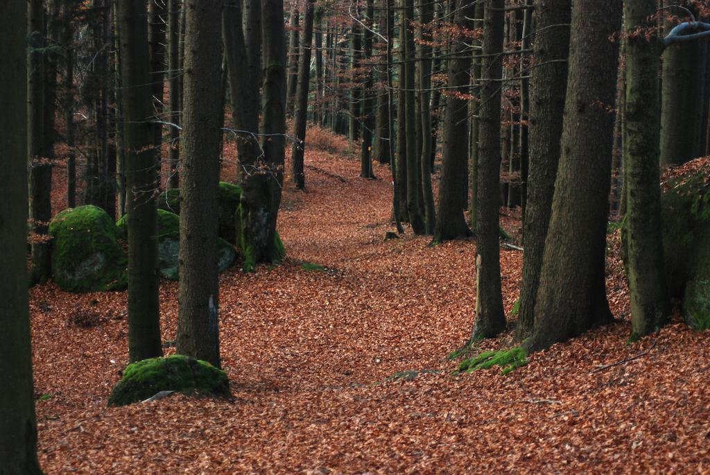 Rechberg Gasthof Und Pension Haunschmid מראה חיצוני תמונה