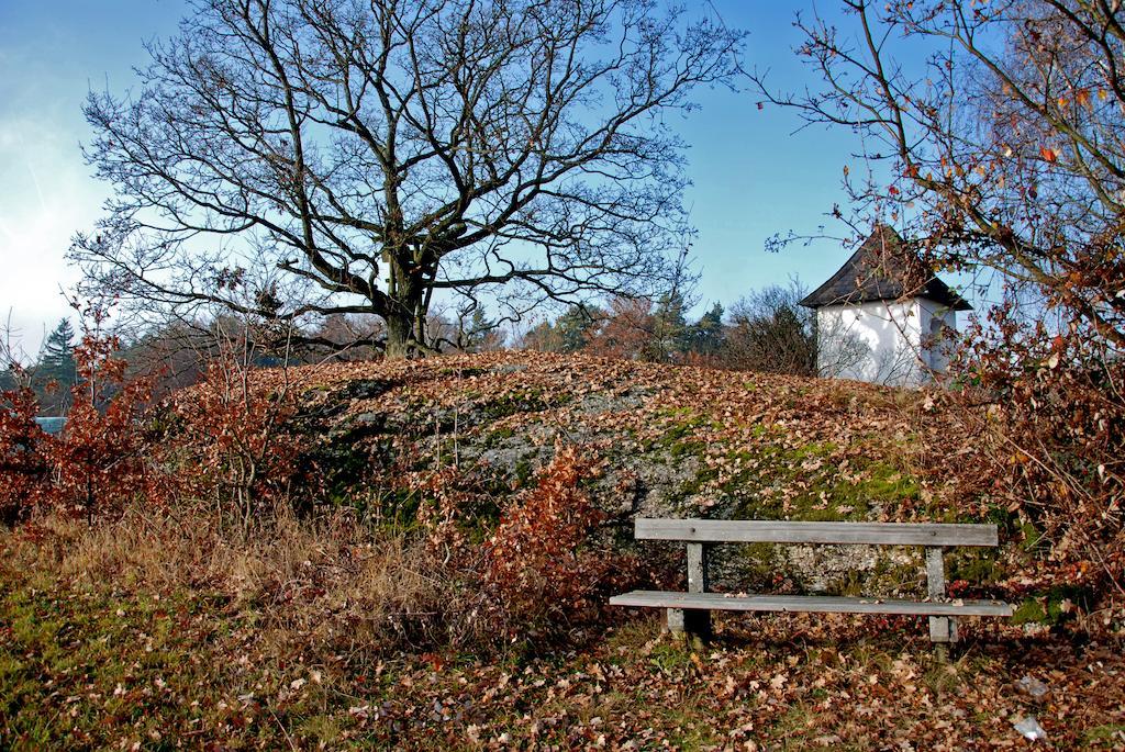 Rechberg Gasthof Und Pension Haunschmid מראה חיצוני תמונה